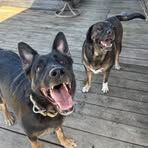 Profile Picture of Ralph Lewis (@ralph.lewis.40976) on Facebook