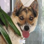 Profile Picture of Craig Lassen (@craig.lassen.37) on Instagram