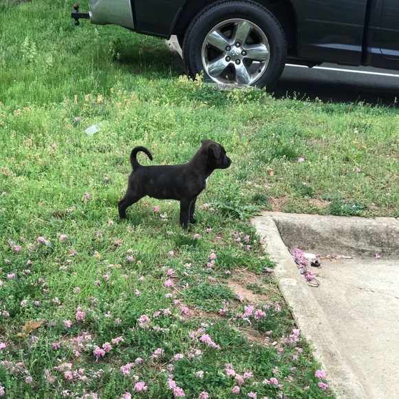 Hillary Ramirez - Poshmark Profile Picture of Hillary Ramirez (@glossy_hillaryy) on Poshmark