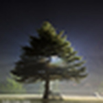 Profile Picture of jasper graham (@Shutter Down Studio) on Flickr