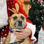 Profile Picture of Jason Schleicher (@jason.schleicher.1) on Facebook