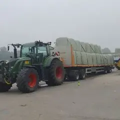 Profile Picture of Dominic Rhyner (@dominicrhyner0) on Tiktok