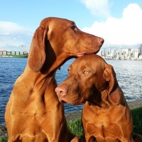 Profile Picture of Star Luna (@star-luna-1) on Quora