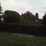 Profile Picture of David Elbaz (@eric020561) on Instagram