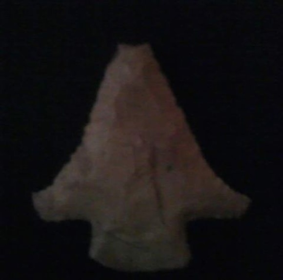 Profile Picture of Bryan Muselwhite (@bryanmuselwhite) on Poshmark