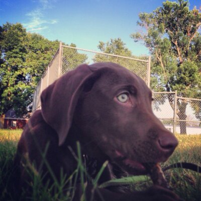 Chad McIlhon - Twitter Profile Picture of Chad McIlhon (@32cmac) on Twitter