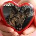 Profile Picture of Michael Heuermann (@michael.heuermann.583) on Facebook