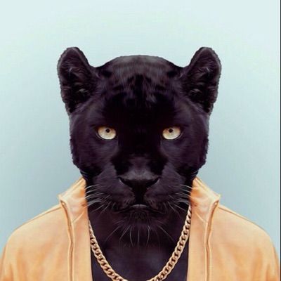 Profile Picture of David Payne (@davidpayne2) on Tiktok