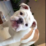 Profile Picture of Cali O'neal (@cali.oneal) on Instagram