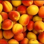 Profile Picture of Jeff Gustafson (@colorado_peaches) on Instagram