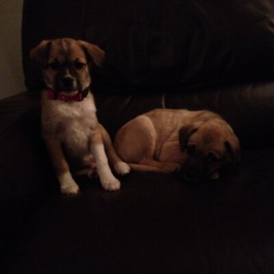 Profile Picture of Lisa Oldfield (@LOldfield) on Twitter