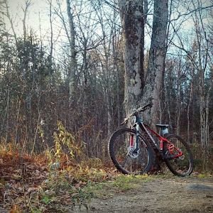 Profile Picture of Scott Cortenbach (@scottcortenbach) on Tiktok