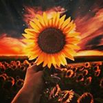 Profile Picture of Cassandra (@cassandra_caetano_prado) on Instagram