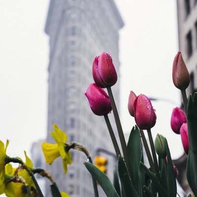 Profile Picture of Shui Ling Geng (@Gengshuiling) on Twitter