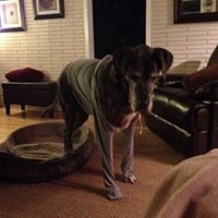 Profile Picture of Luann Huff (@luann-huff) on Quora