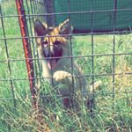 Profile Picture of Jason Rickard (@jason_rickard) on Instagram