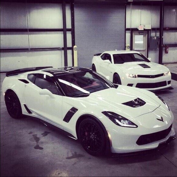 Calogero B - Poshmark Profile Picture of Calogero B (@cbonollo18) on Poshmark