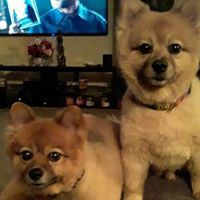 Profile Picture of Doug Vaughn (@doug-vaughn-17) on Quora