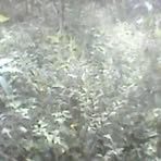 Profile Picture of David Baar (@david.baar.96) on Facebook