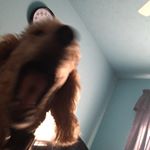 Profile Picture of Michael Knecht (@michael.spamm.today) on Instagram