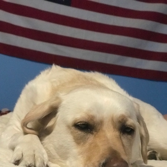 Profile Picture of Jordyn Placzek (@jplaczek8) on Poshmark