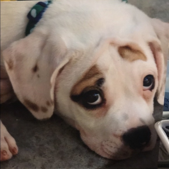 Profile Picture of Emily Meese (@summitbee1725) on Poshmark