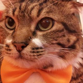 Profile Picture of Poon Wai Kong Wilkins (@waikong.poon.7) on Facebook