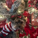 Profile Picture of Kim Heyde (@kim.heyde.5) on Facebook