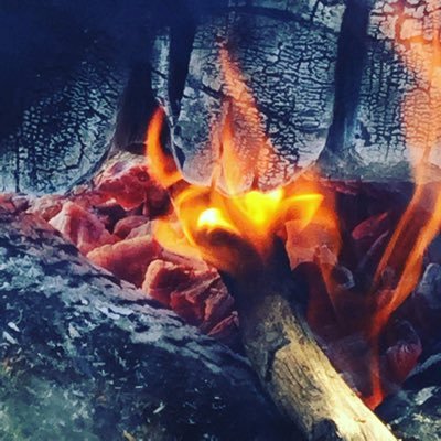 Profile Picture of Steiner Noah (@SteinerNoah1) on Twitter