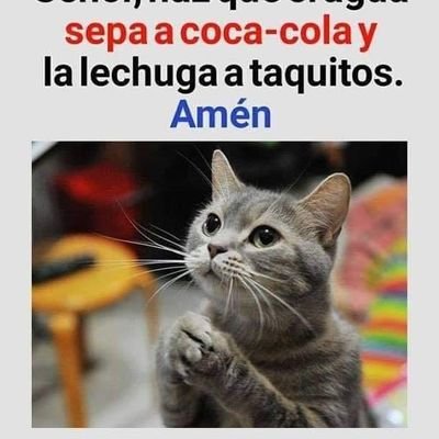 Profile Picture of Kenny Calderon (@KennyCalderon15) on Twitter