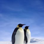 Profile Picture of Damien Osborne (@aaron.marroq) on Facebook