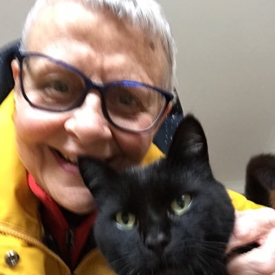 Profile Picture of Wendy Mitchell (@WendyPMitchell) on Twitter