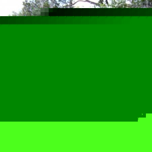 Profile Picture of Lori Munnerlyn (@185908459) on Myspace