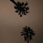 Profile Picture of ralph_barnettc (@ralph_barnettc) on Instagram