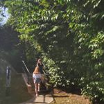 Profile Picture of amy :) (@amywheeldon3) on Instagram
