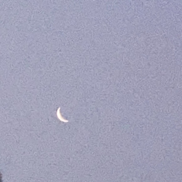 Profile Picture of Robbie Gowans (@robbiegowans) on Poshmark