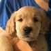 Profile Picture of Michael Bicknell (@bicknellmichaelj) on Pinterest