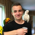 Profile Picture of Daniel Senkowski (@dimkapv) on Instagram