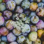 Profile Picture of Mel Hackett (@eddaru._nolfsson) on Instagram