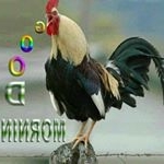 Profile Picture of sandy king oswald (@oswaldsandyking) on Instagram