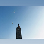 Profile Picture of Donatella Bignardi (@dobigna) on Flickr