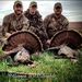 Profile Picture of Kyle Neilson (@kyleneilson549) on Pinterest