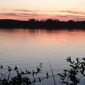 Profile Picture of Joe Coulson (@JoeCoulson3) on Twitter