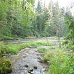 Profile Picture of FITTERER (@fittererbal) on Instagram