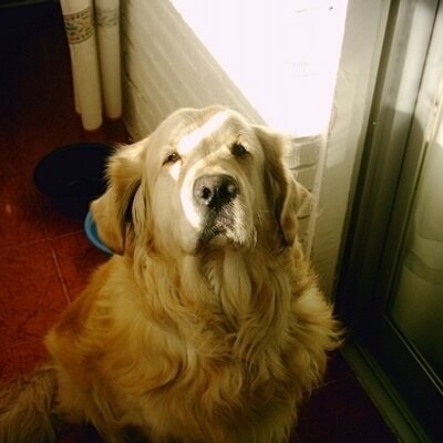 Profile Picture of Jose Antonio Bascon (@BasconJab) on Twitter
