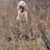 Profile Picture of Charles Bomar (@Charles-Bomar) on Facebook