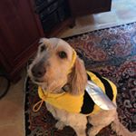 Profile Picture of Tori & Bray (@we_might_be_twins) on Instagram