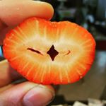 Profile Picture of Andrew Warnock (@cardiac_caress) on Instagram