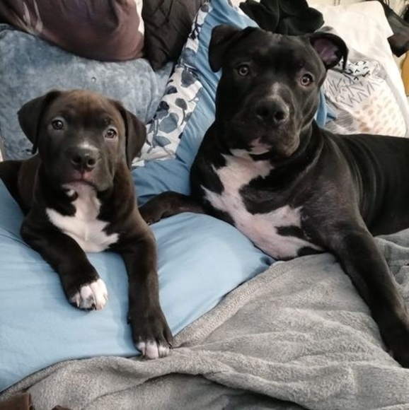 Profile Picture of Heather Metrik (@hmetrik3) on Poshmark