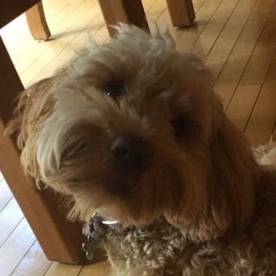 Matt_Pruner - Twitter Profile Picture of Matt_Pruner (@matt_pruner) on Twitter